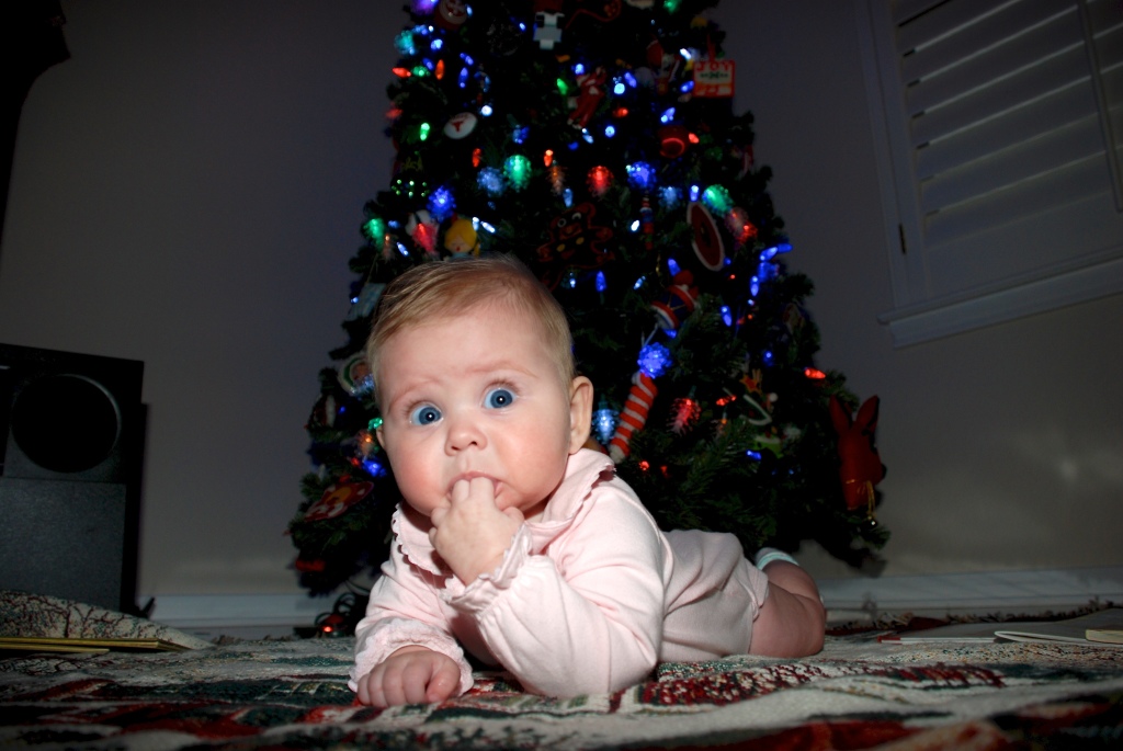 Hildebrand Christmas ScreenSaver/1024x768_2008-11-28-03 Sydney early Christmas at Grandmas.jpg